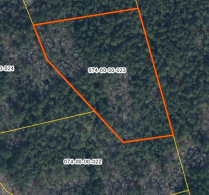 LOT C DANIEL AVENUE, JOHNSTON, SC 29832 - Image 1