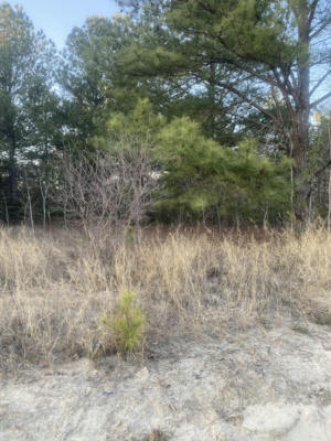 0 OLD SHOALS ROAD # PHASE 2 LOT 4, MONETTA, SC 29105, photo 3 of 4