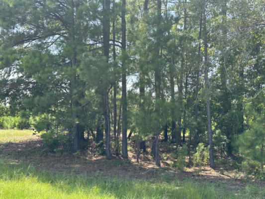 18428 US-278, BARNWELL, SC 29812 - Image 1