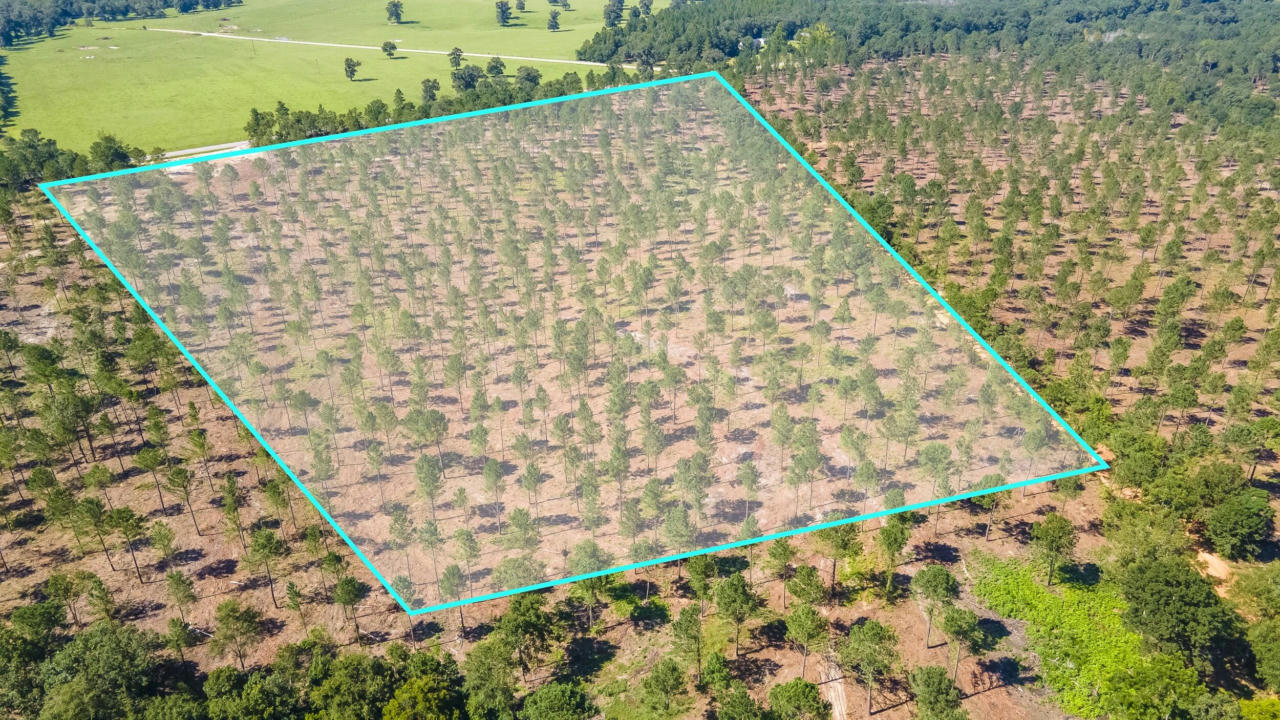 LOT 10) SHADOW LANE / CAMP RAWLS RD, WAGENER, SC 29164 Vacant Land For Sale  | MLS# 207874 | RE/MAX