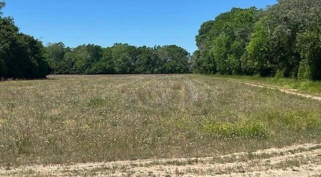00 OLD ALLENDALE HIGHWAY, BARNWELL, SC 29812, photo 3 of 3
